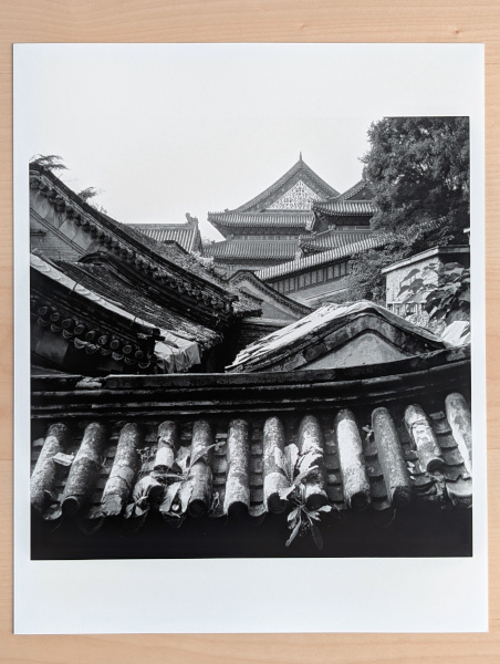 Summer Palace Rooftops